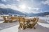 COOEE Alpin Hotel Dachstein