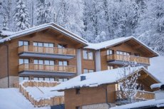 Apartment Dorf Wagrain Alpenleben