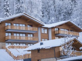 Chalet Dorf Wagrain Alpenleben